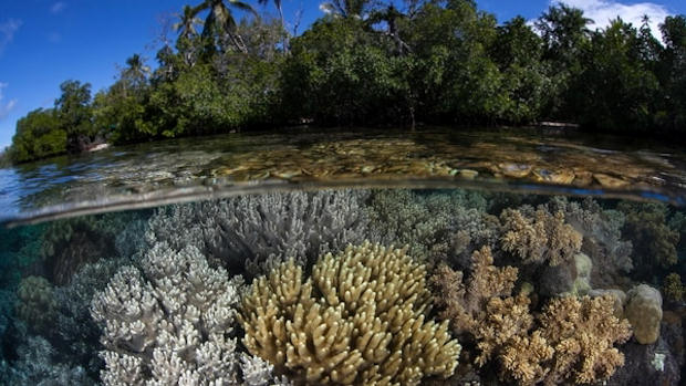 Las Islas Salomon se vieron en peligro muchas veces (Getty Images)
