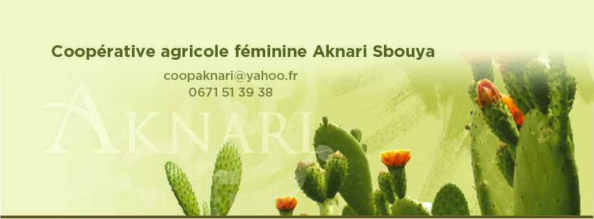 Cartel publicitario de la Cooperativa femenina Aknari Sbouya, pionera en la producción y elaboración de productos extraídos de la chumbera.