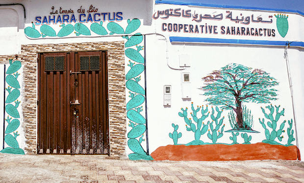 Cooperativa Sahara Cactus en Sidi Ifni.
