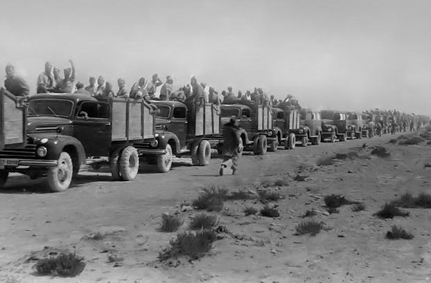 Convoy de camiones Ford-K
