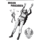 Historia de la Brigada Paracaidista del Ejrcito de Tierra