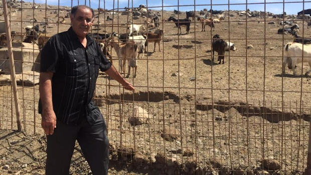 El alcalde de Sidi Ifni, Abderramán Fabian, en su visita a explotaciones ganaderas de Fuerteventura. / C7. 